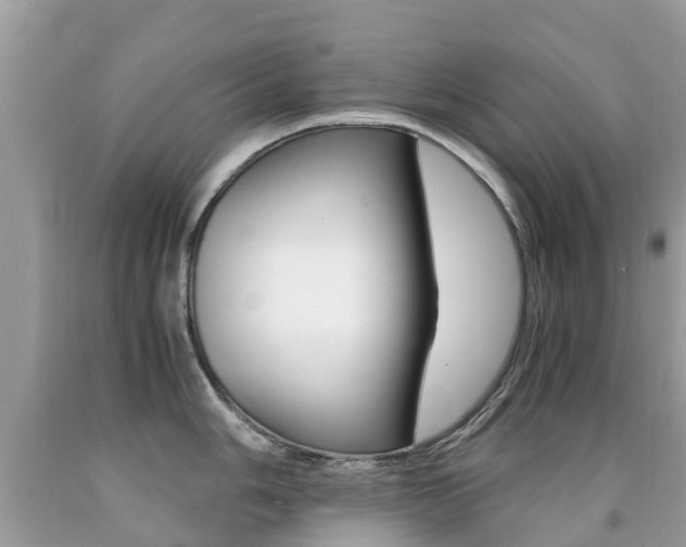 X0000091941006200709051258
