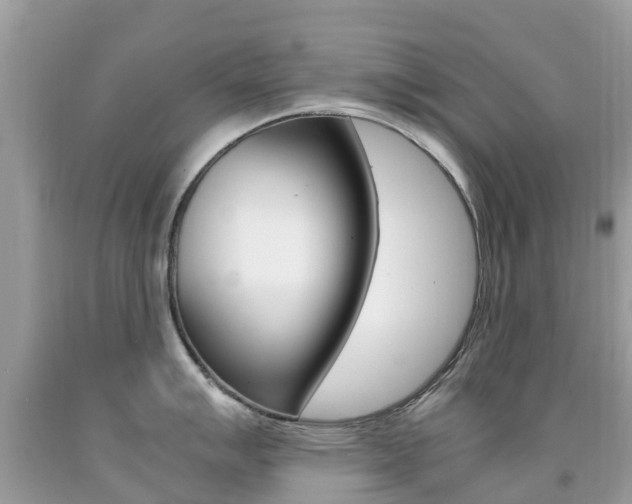 X0000091941007200709051258