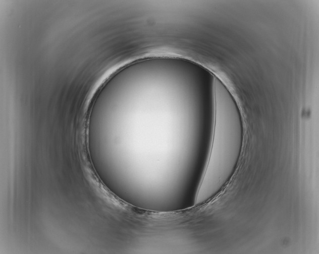 X0000091941008200709051258
