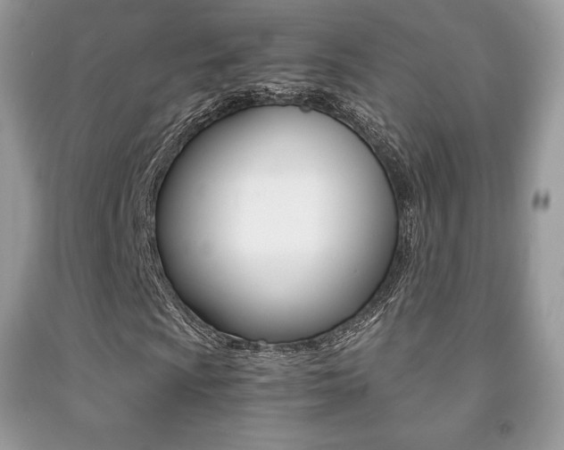 X0000091941009200709051258