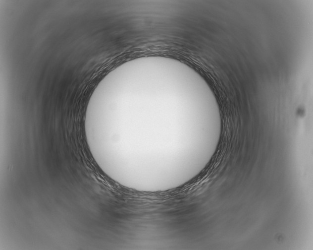 X0000091941010200709051258