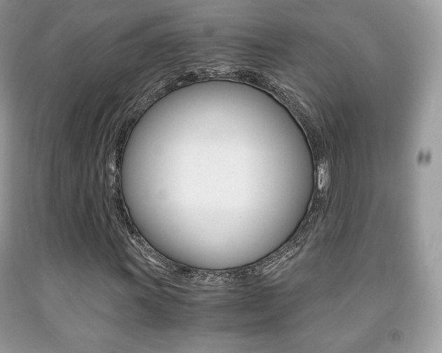 X0000091941011200709051258