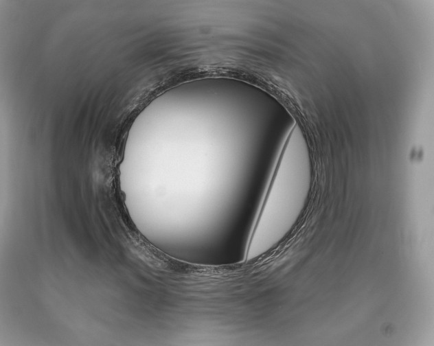 X0000091941012200709051258