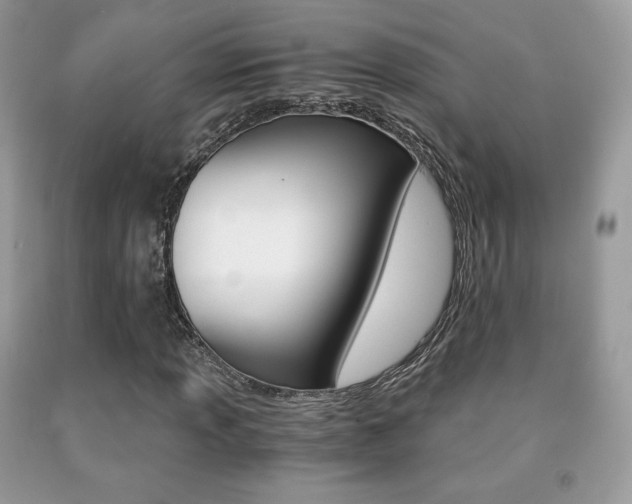 X0000091941013200709051258