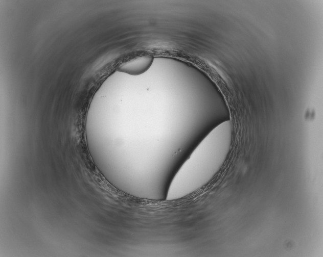 X0000091941015200709051258