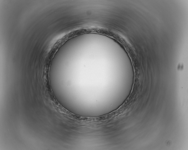 X0000091941016200709051258