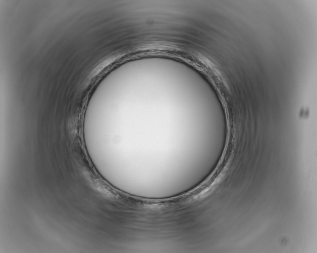 X0000091941017200709051258