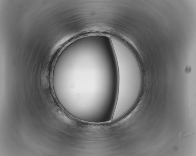 X0000091941018200709051258