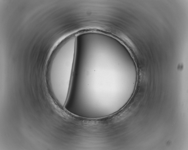 X0000091941020200709051258