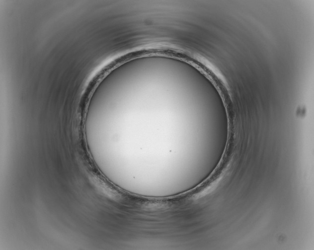 X0000091941021200709051258