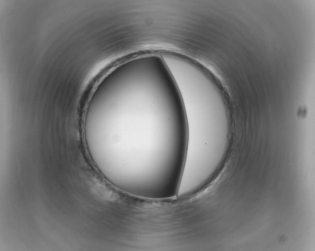 X0000091941022200709051258