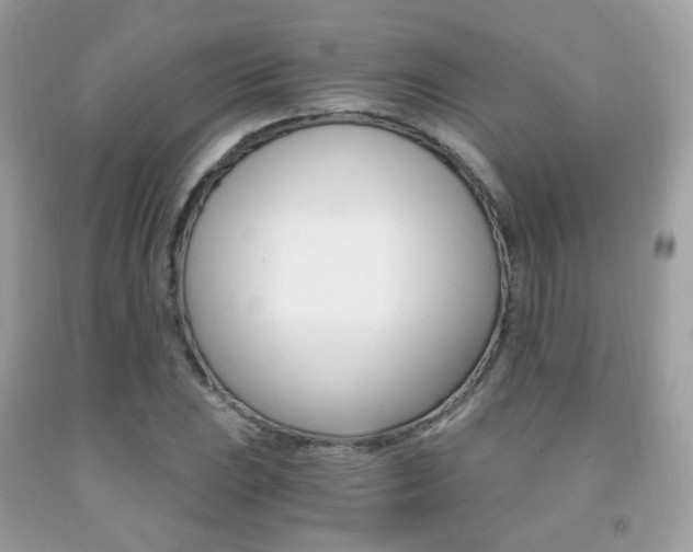 X0000091941023200709051258