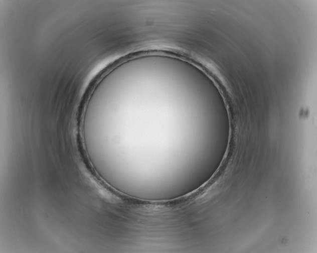 X0000091941024200709051258
