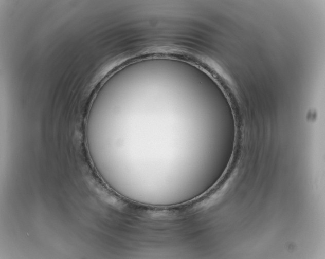X0000091941025200709051258