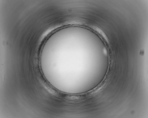 X0000091941027200709051258