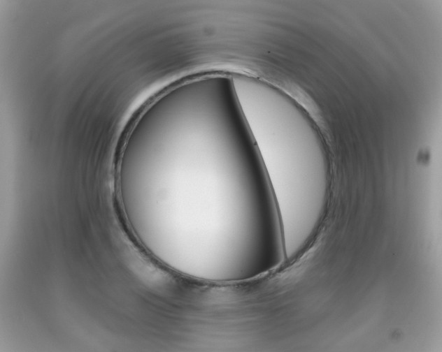 X0000091941028200709051258