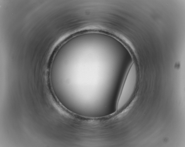 X0000091941029200709051258