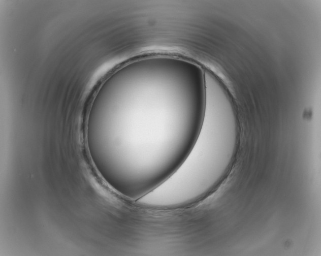 X0000091941030200709051258
