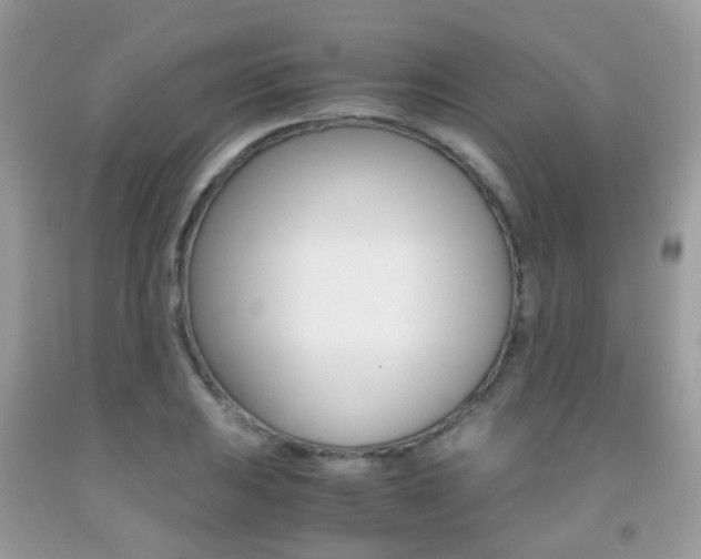 X0000091941031200709051258