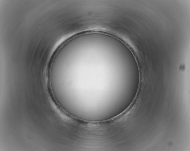 X0000091941032200709051258