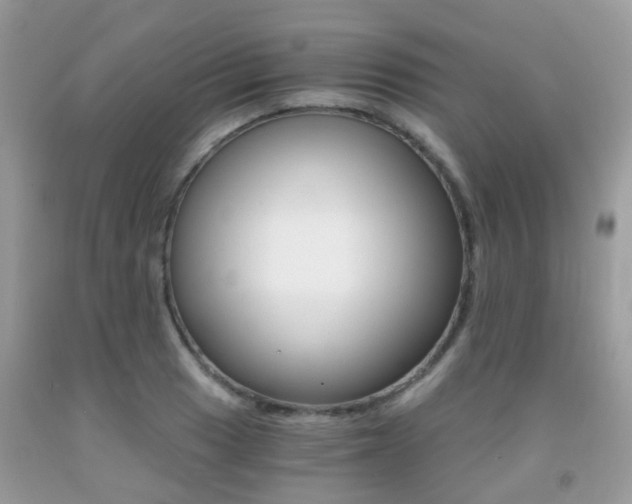 X0000091941033200709051258
