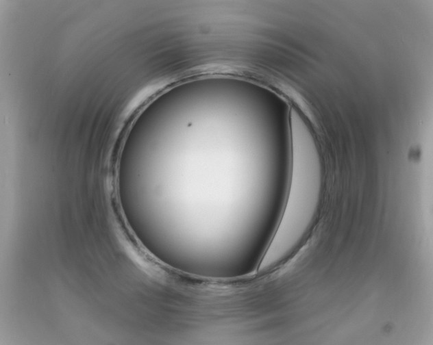 X0000091941034200709051258
