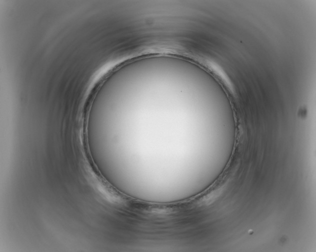 X0000091941035200709051258