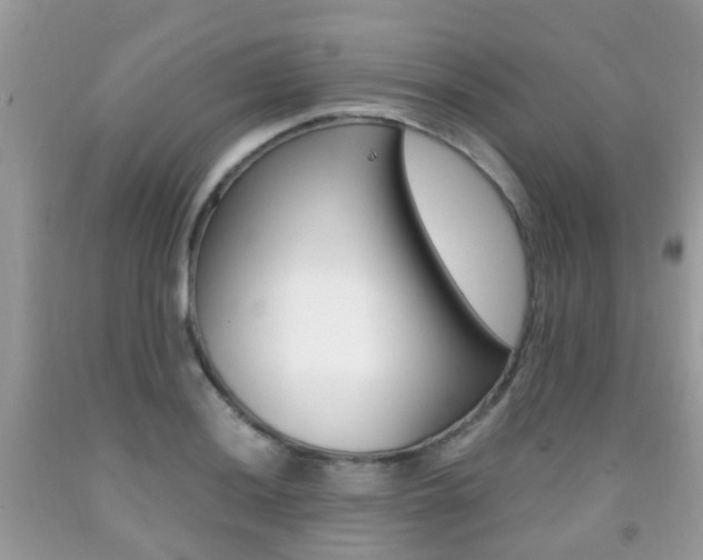 X0000091941036200709051258