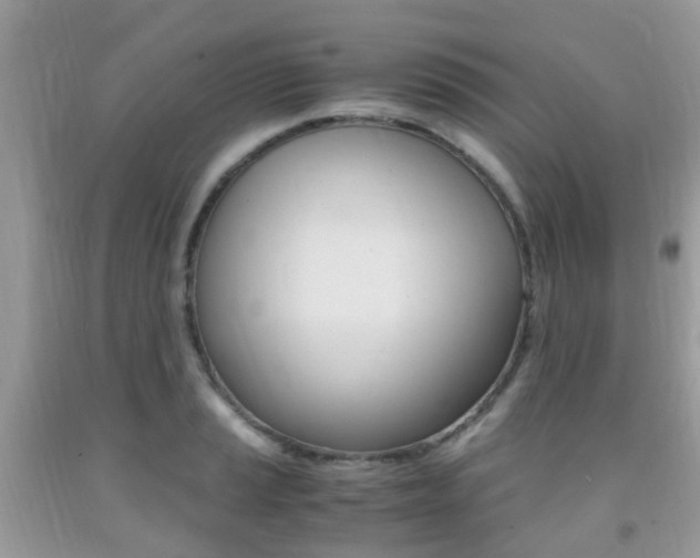 X0000091941037200709051258