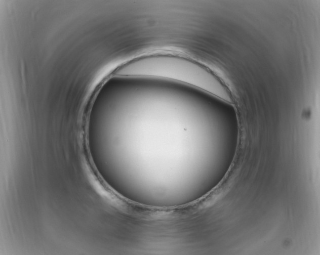 X0000091941038200709051258