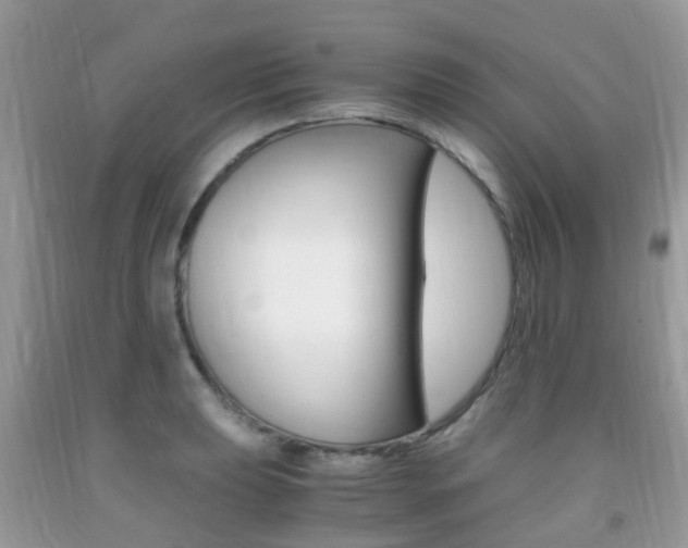 X0000091941039200709051258