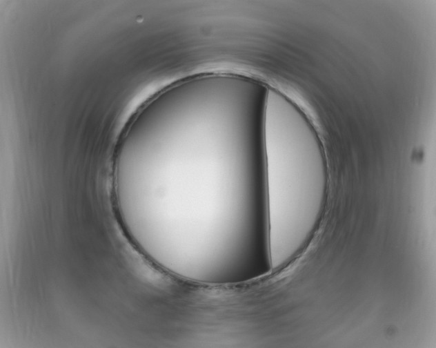 X0000091941040200709051258