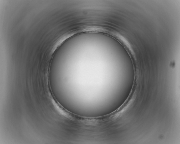 X0000091941041200709051258