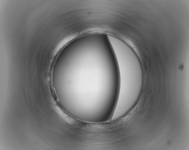 X0000091941042200709051258