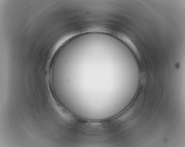 X0000091941043200709051258