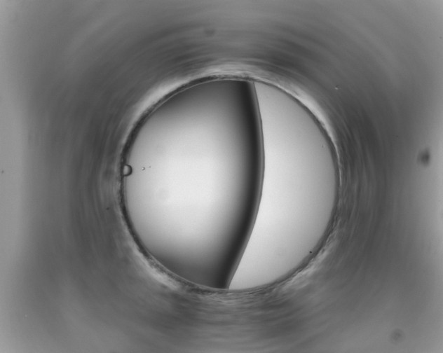 X0000091941045200709051258