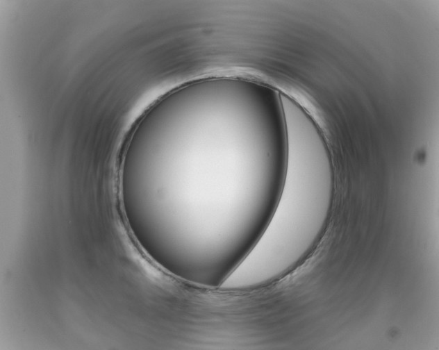 X0000091941046200709051258