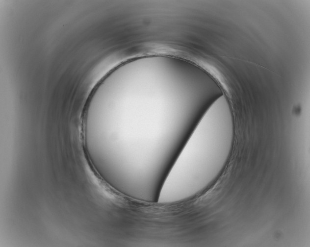 X0000091941047200709051258