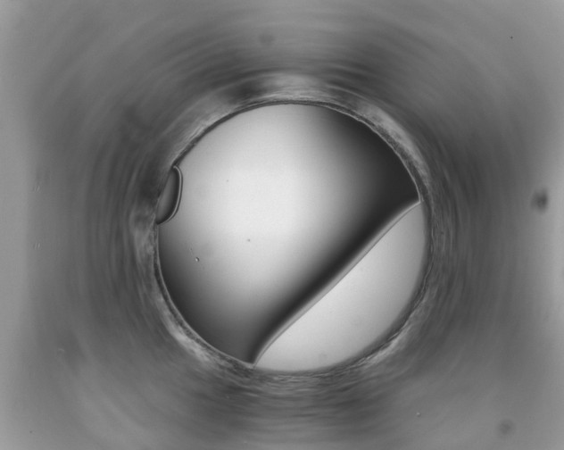 X0000091941049200709051258