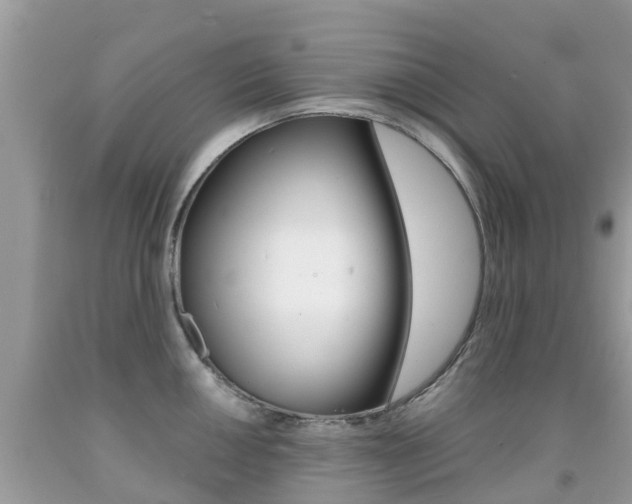 X0000091941050200709051258