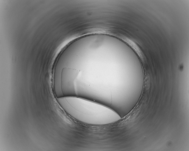 X0000091941051200709051258