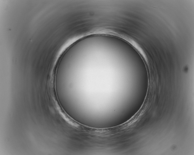 X0000091941053200709051258