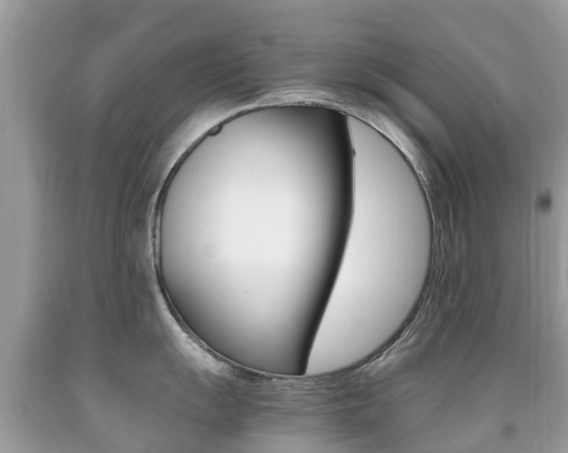 X0000091941055200709051258