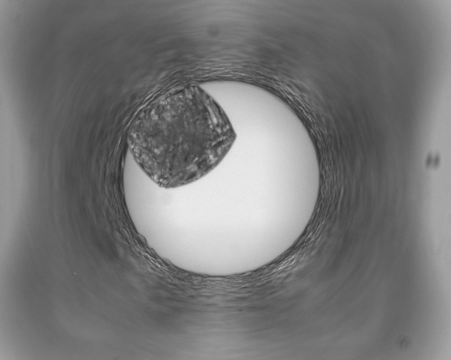 X0000091941057200709051258