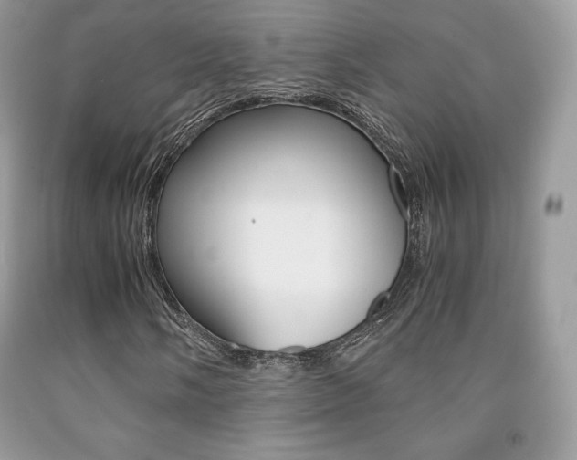 X0000091941058200709051258