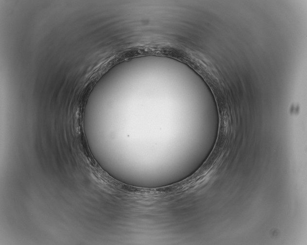 X0000091941060200709051258