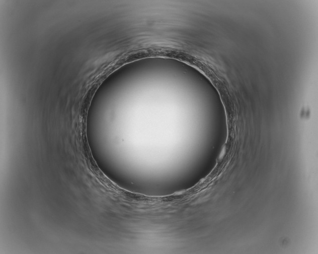 X0000091941061200709051258