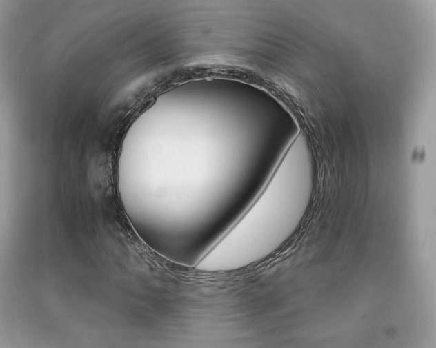 X0000091941062200709051258