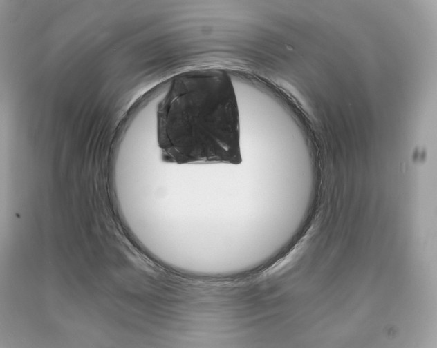 X0000091941065200709051258