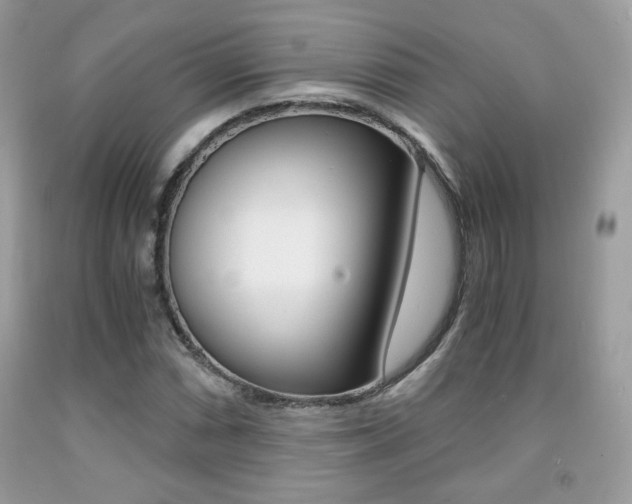 X0000091941066200709051257
